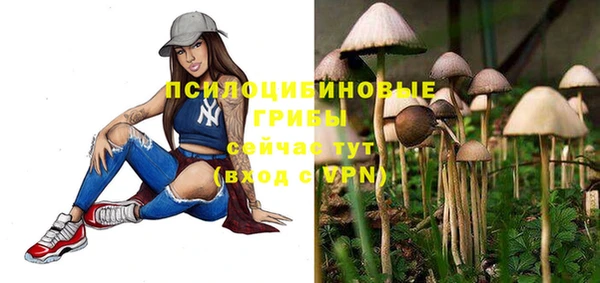 МДПВ Абдулино