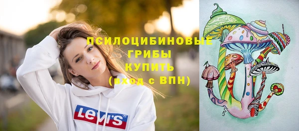 МДПВ Абдулино