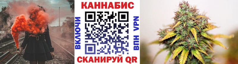 как найти закладки  Новочебоксарск  Бошки марихуана сатива 